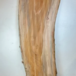 Sycamore Slab