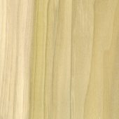Detail of an unfinished yellow poplar board with grain pattern.